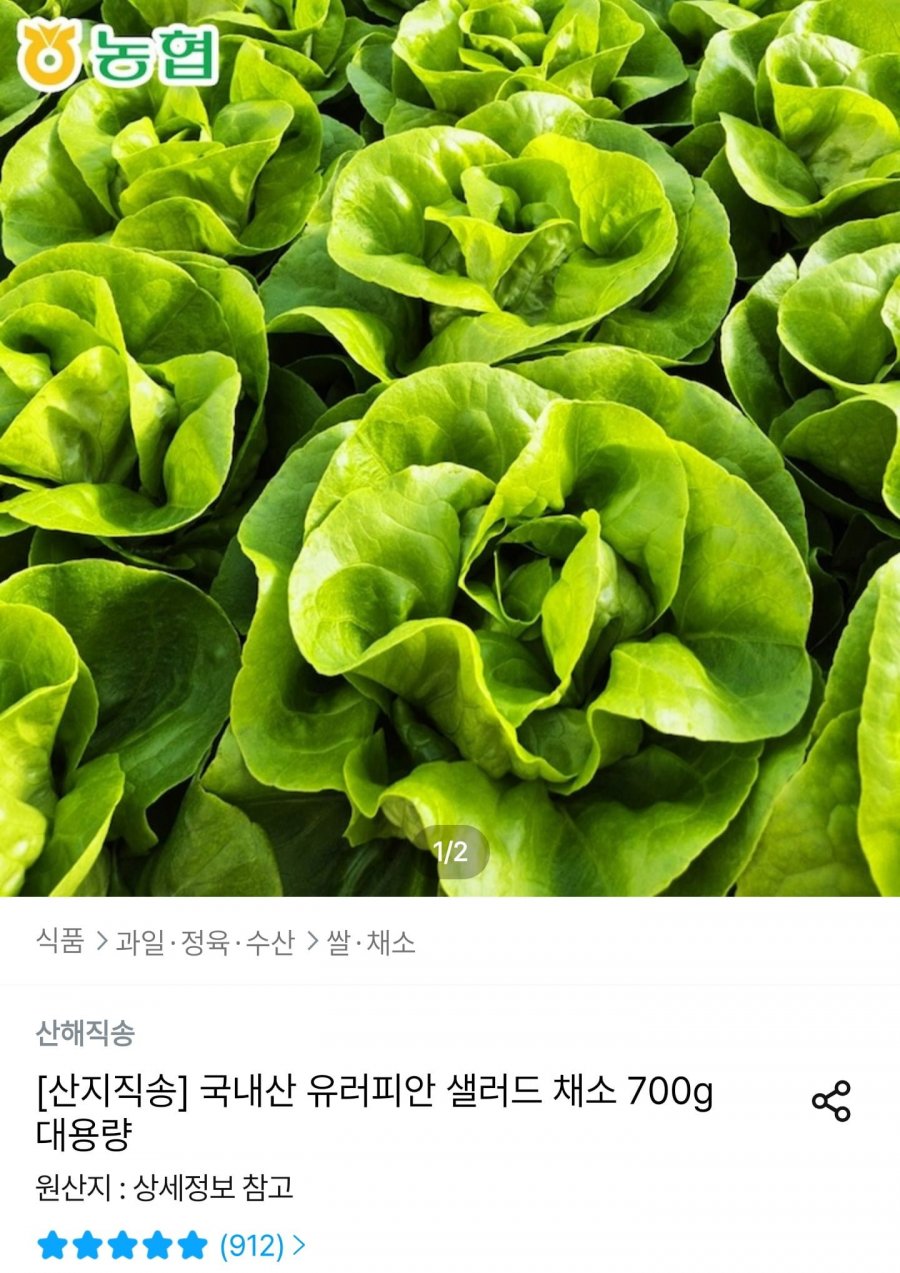 국내산 유러피안 샐러드 1kg (9,418원/무료)