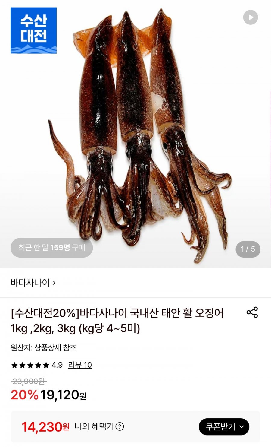 국내산 태안 활 오징어 1kg 4~5미 (14,230원/무배)