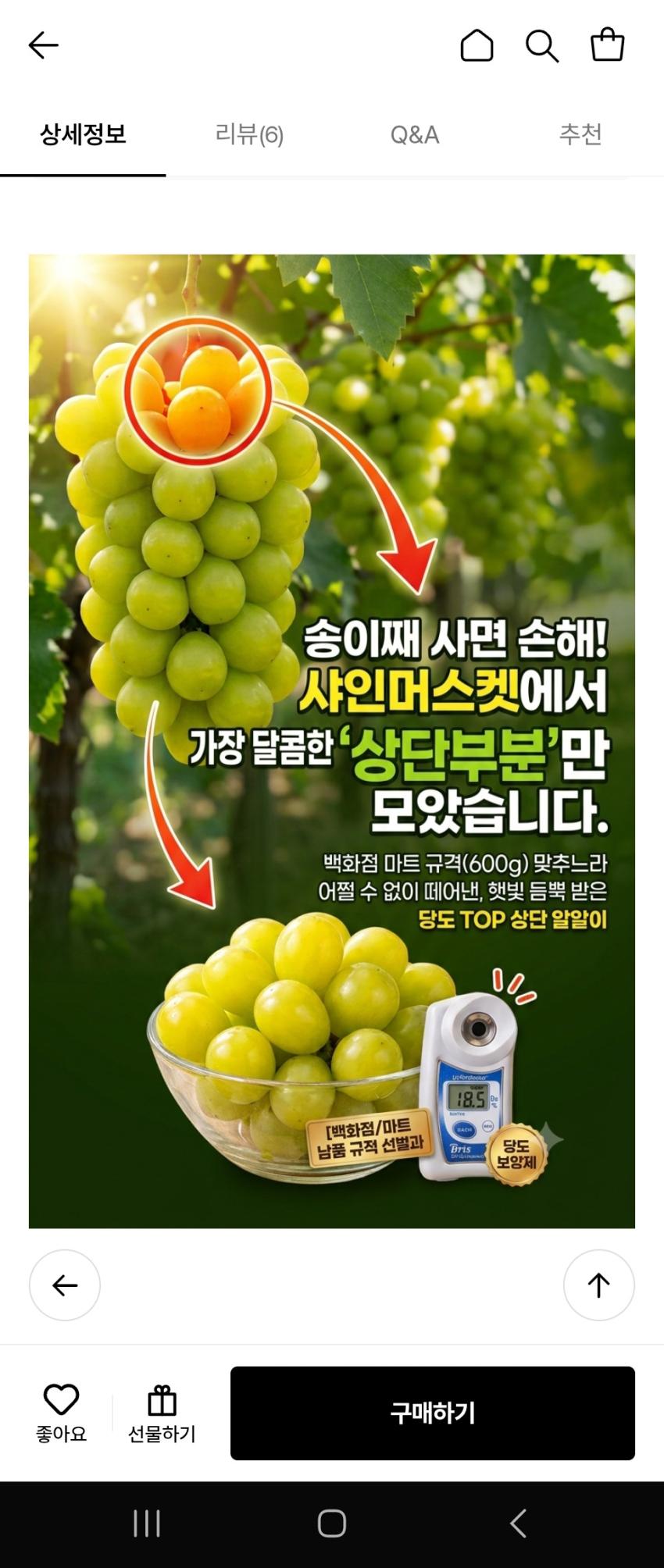 17brix 샤인머스켓 400gX 4팩 12,910원