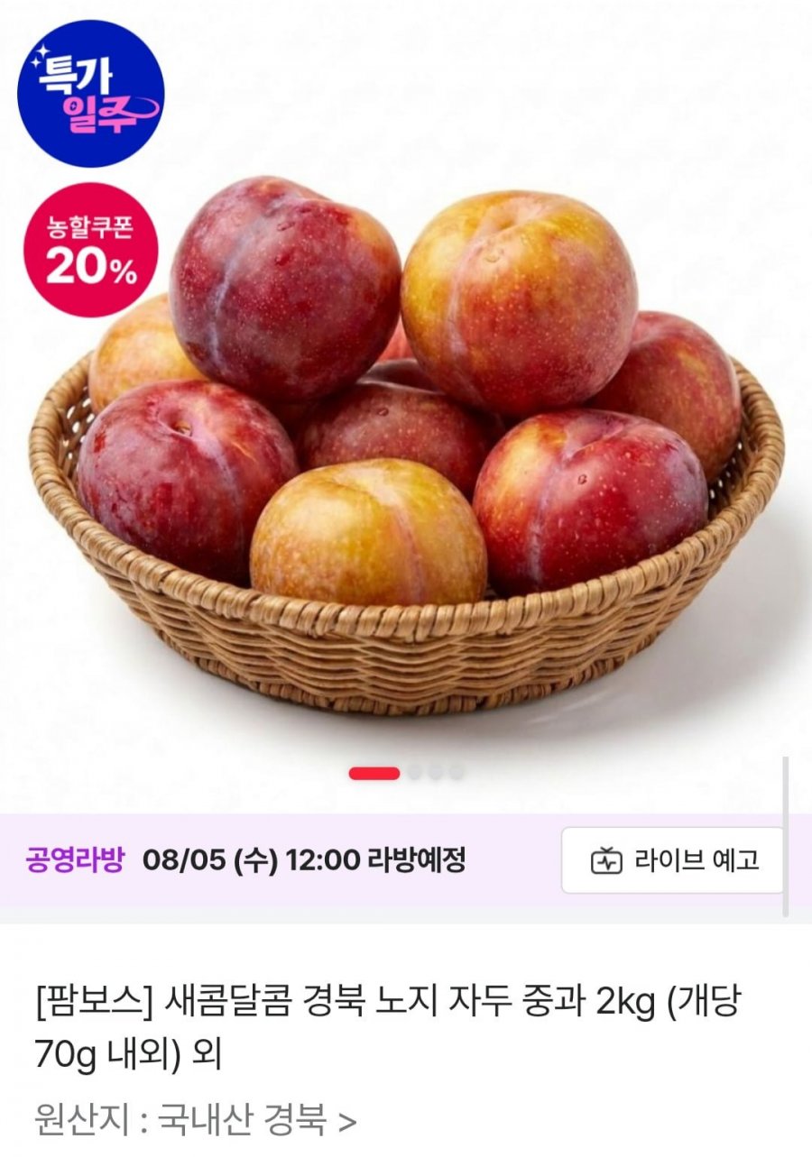 경북 노지 자두 중과 2kg (개당 70g 내외) (7,920원/무배)