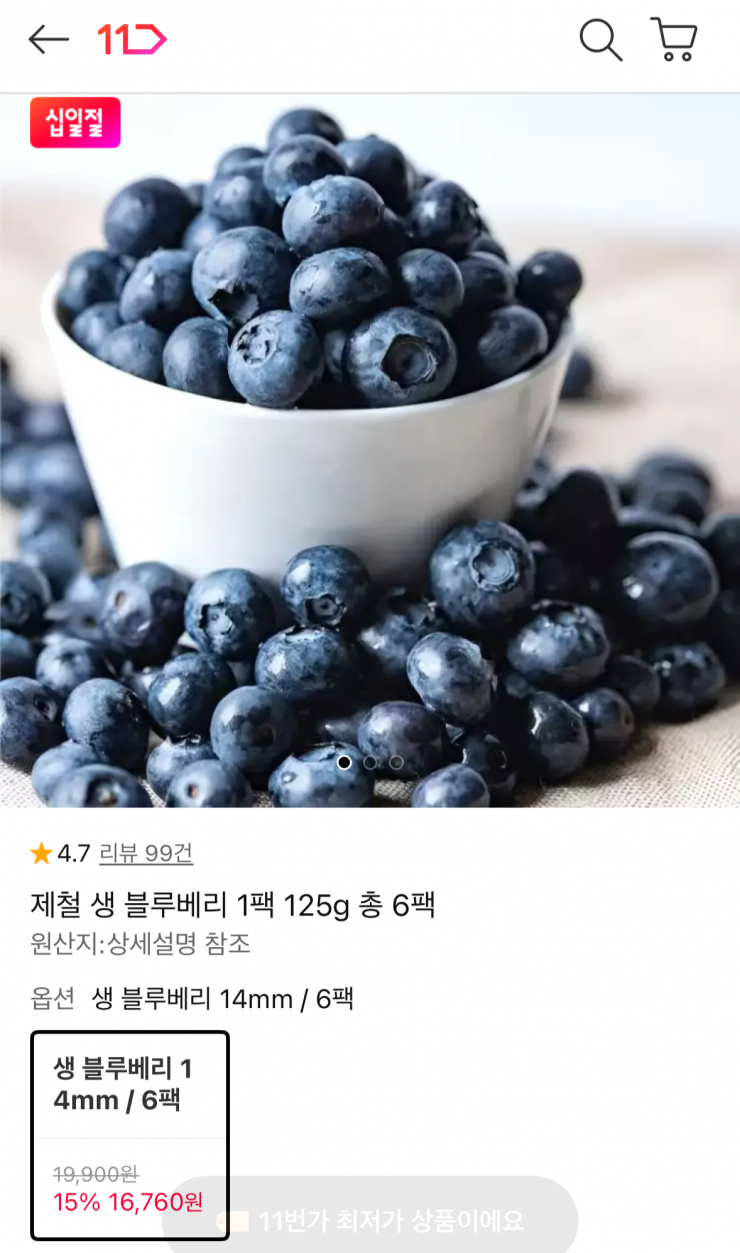 제철 생 블루베리 6팩 (16,760원 / 무배)