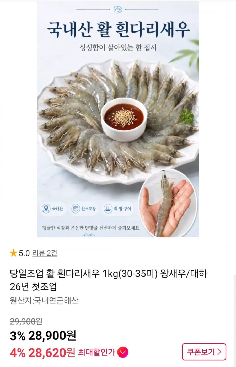 당일조업 활 흰다리새우 1kg(30-35미) 왕새우/대하 26년 첫조업 (28,620원/무배)