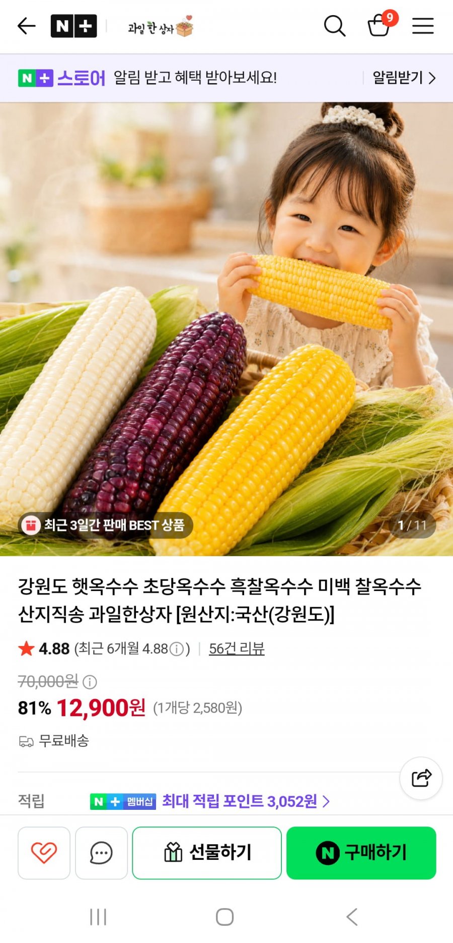 강원도 산지직송 초당옥수수 흑찰옥수수 (13900원17900원/무배)