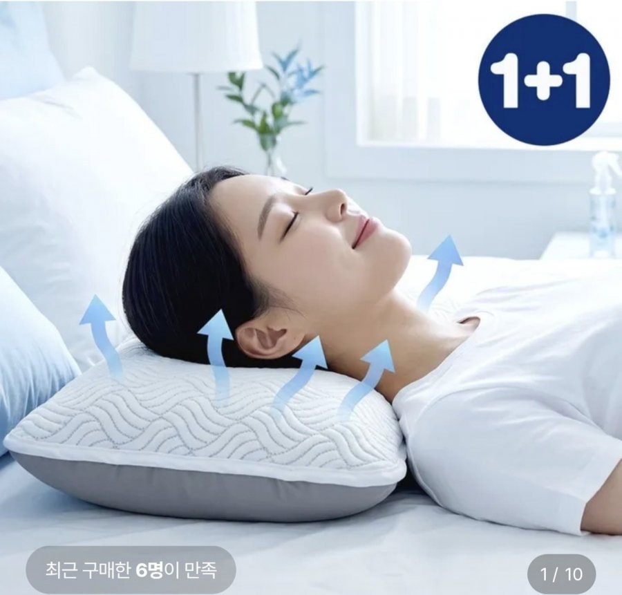 조은자리 듀라론 냉감베개커버 2장 (12,110원/무료)