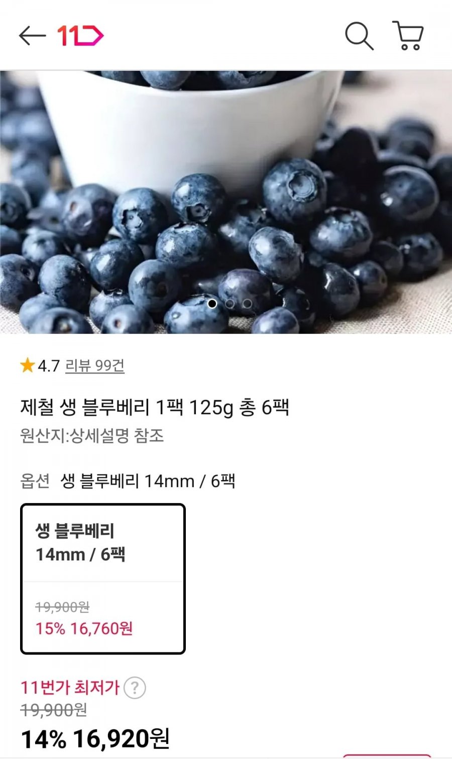 제철 생 블루베리 1팩 125g 총 6팩 (16,920원/무료)