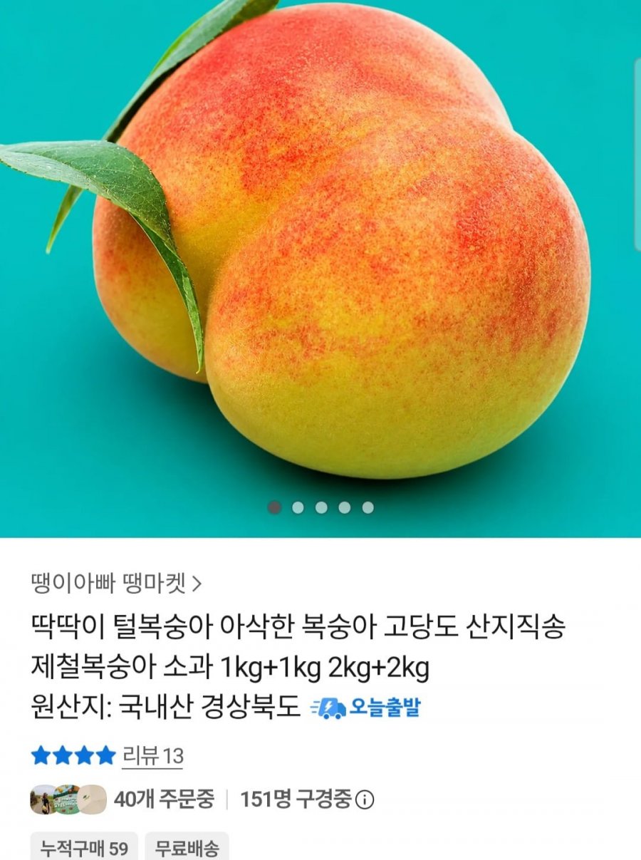 딱딱이 털복숭아 1kg + 1kg (8,960원 / 무배)