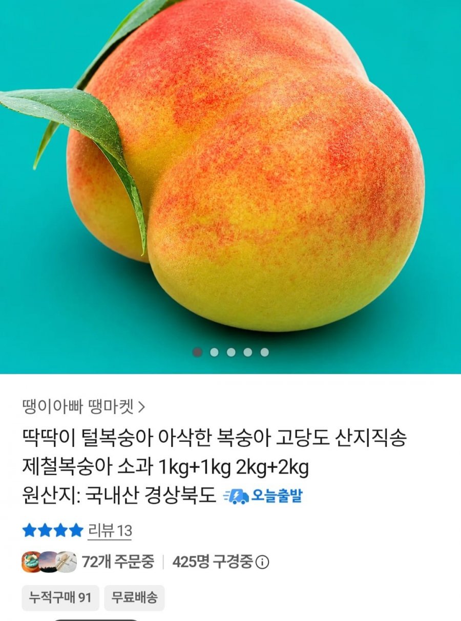 딱딱이 털 복숭아 중과 1kg+1kg (9,580원 / 무배)