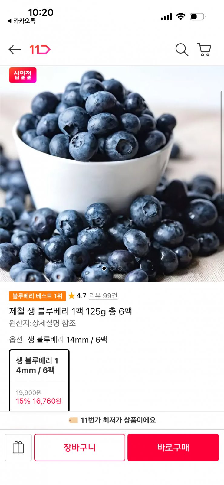 제철 생 블루베리 6팩 (16,760원 / 무배)