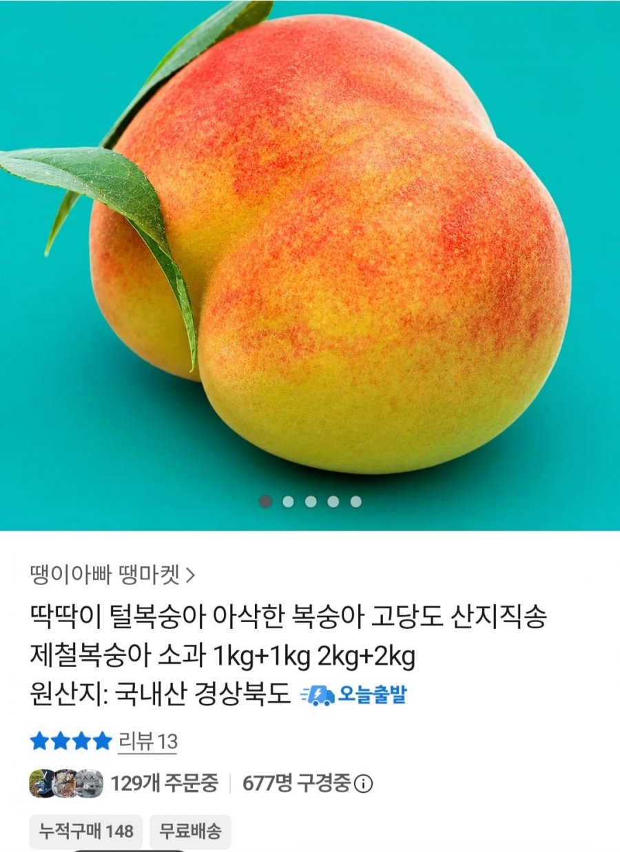 딱딱이 털복숭아 중과 2kg (9,580원 / 무배)