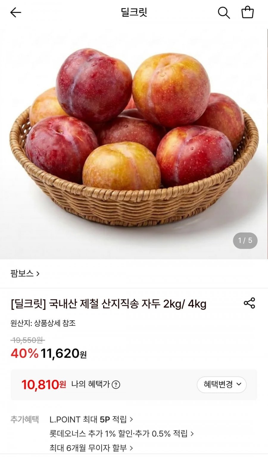 국내산 햇자두 2kg (10,950원/무료)