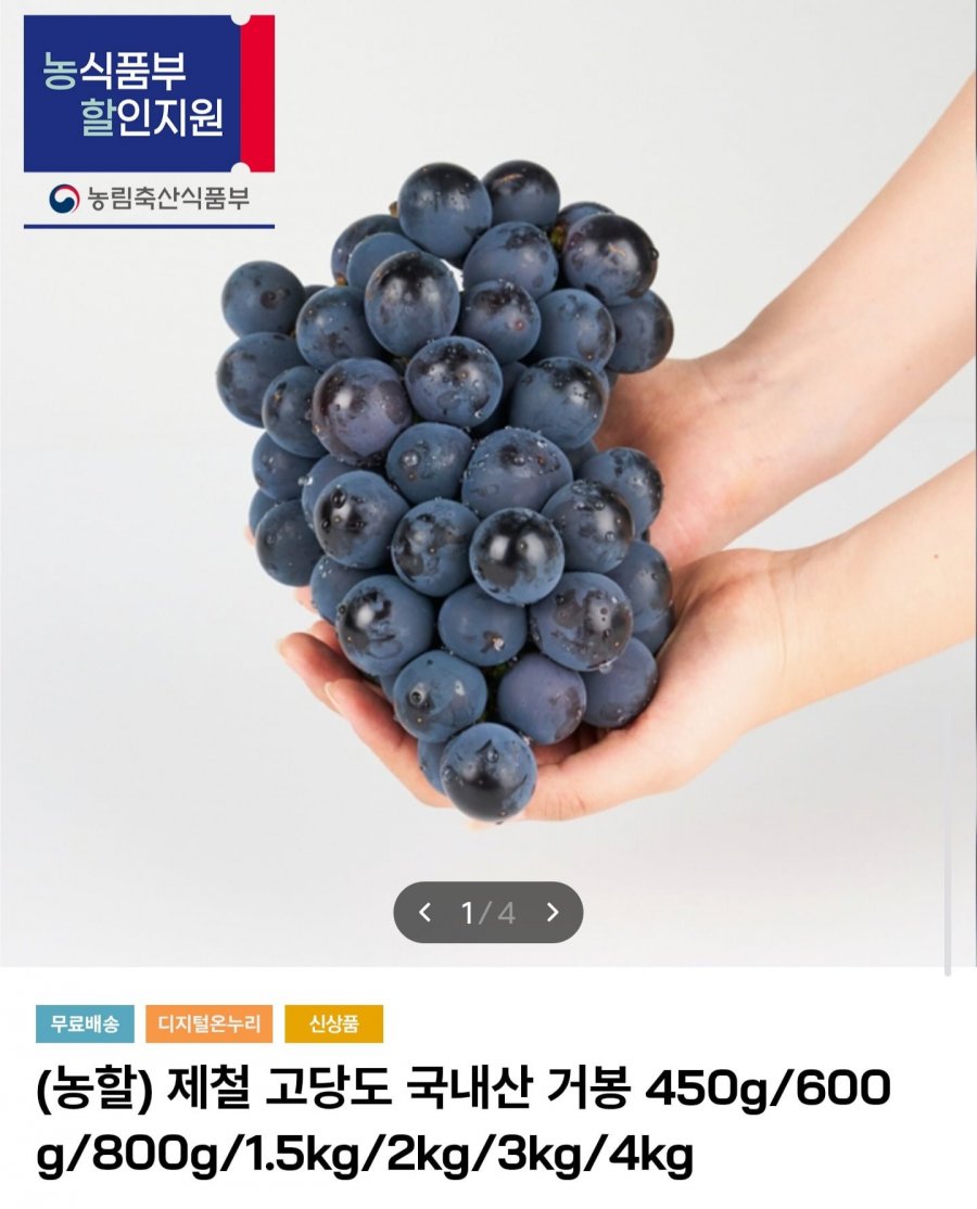 국내산 거봉 1.5kg (16,450원/무배)
