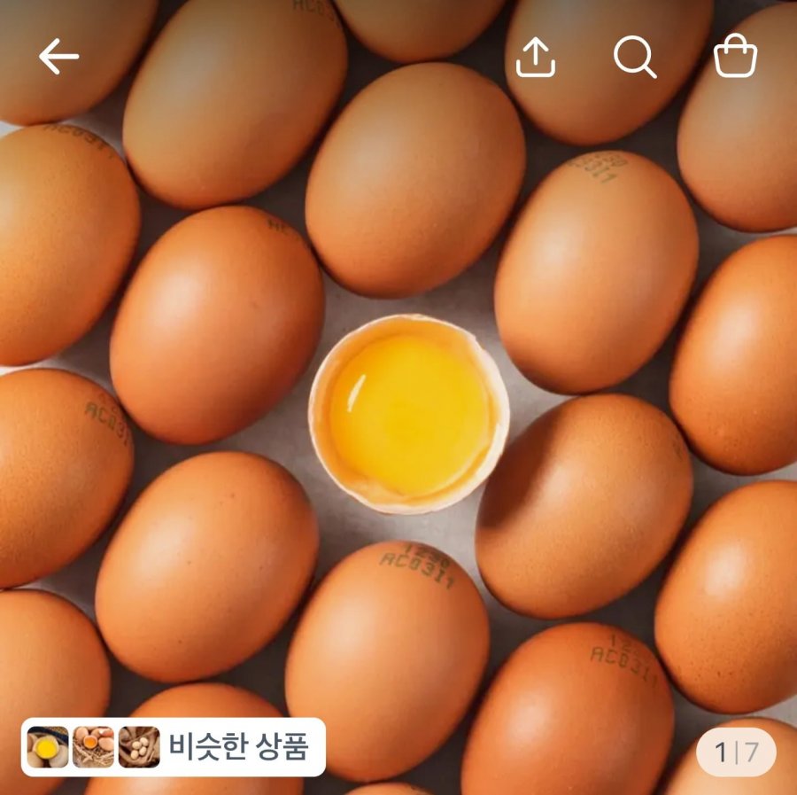 난각번호 1번 무항생제 유정란 40구 (18,900원/무료)