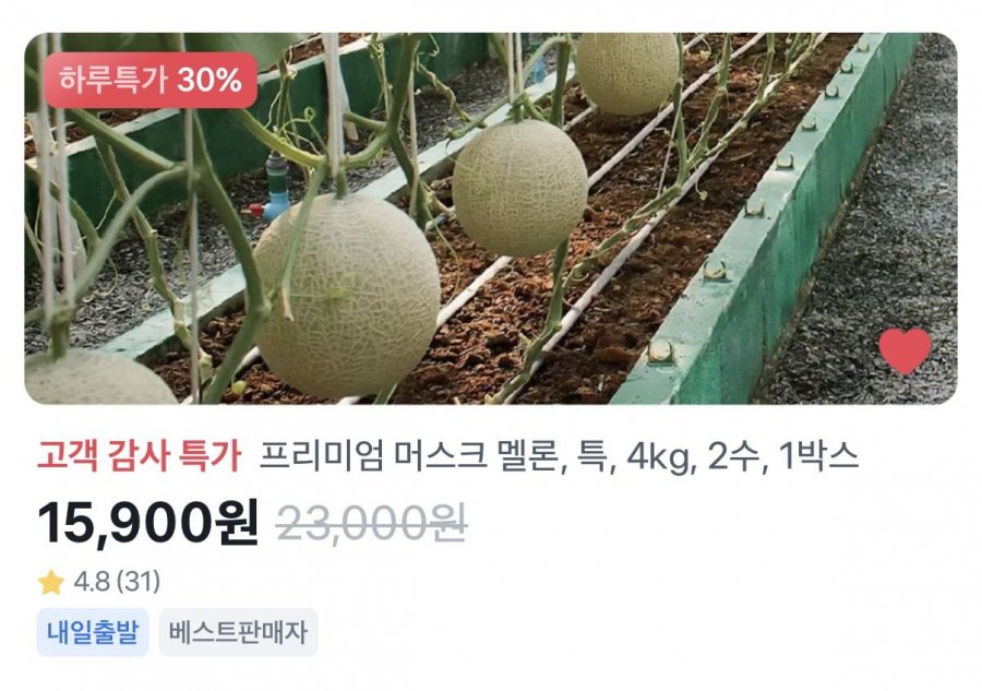 머스크 멜론 4kg 2수 (15,900원/무료)