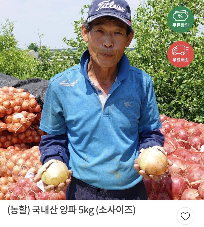 국내산 양파 5kg (소사이즈) 2,920원