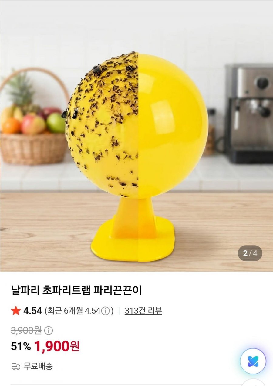 파리 끈끈이 2개 3100원 무배(네멤 1개 무배)