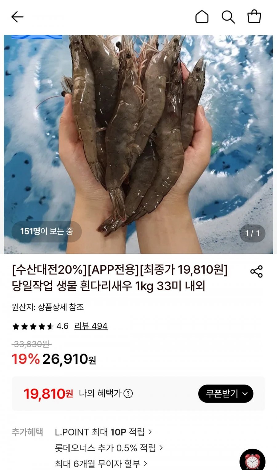 당일작업 활 흰다리새우 1kg (19,810원/무료)