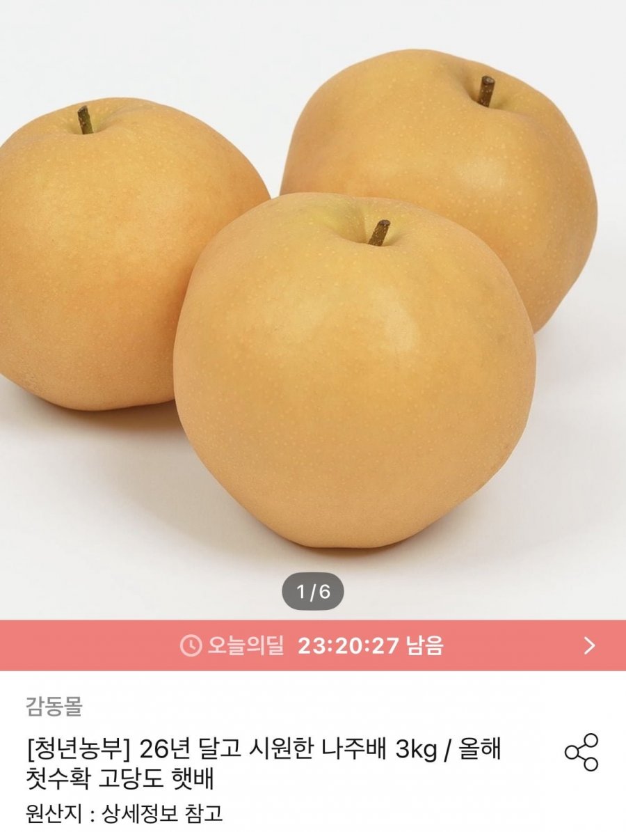 나주배 3kg (10,973원/무료)