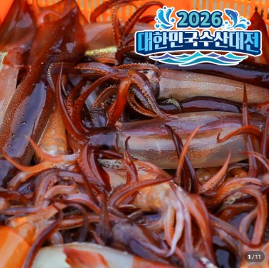 국산 급냉 통오징어 1kg 통찜용 9,920원
