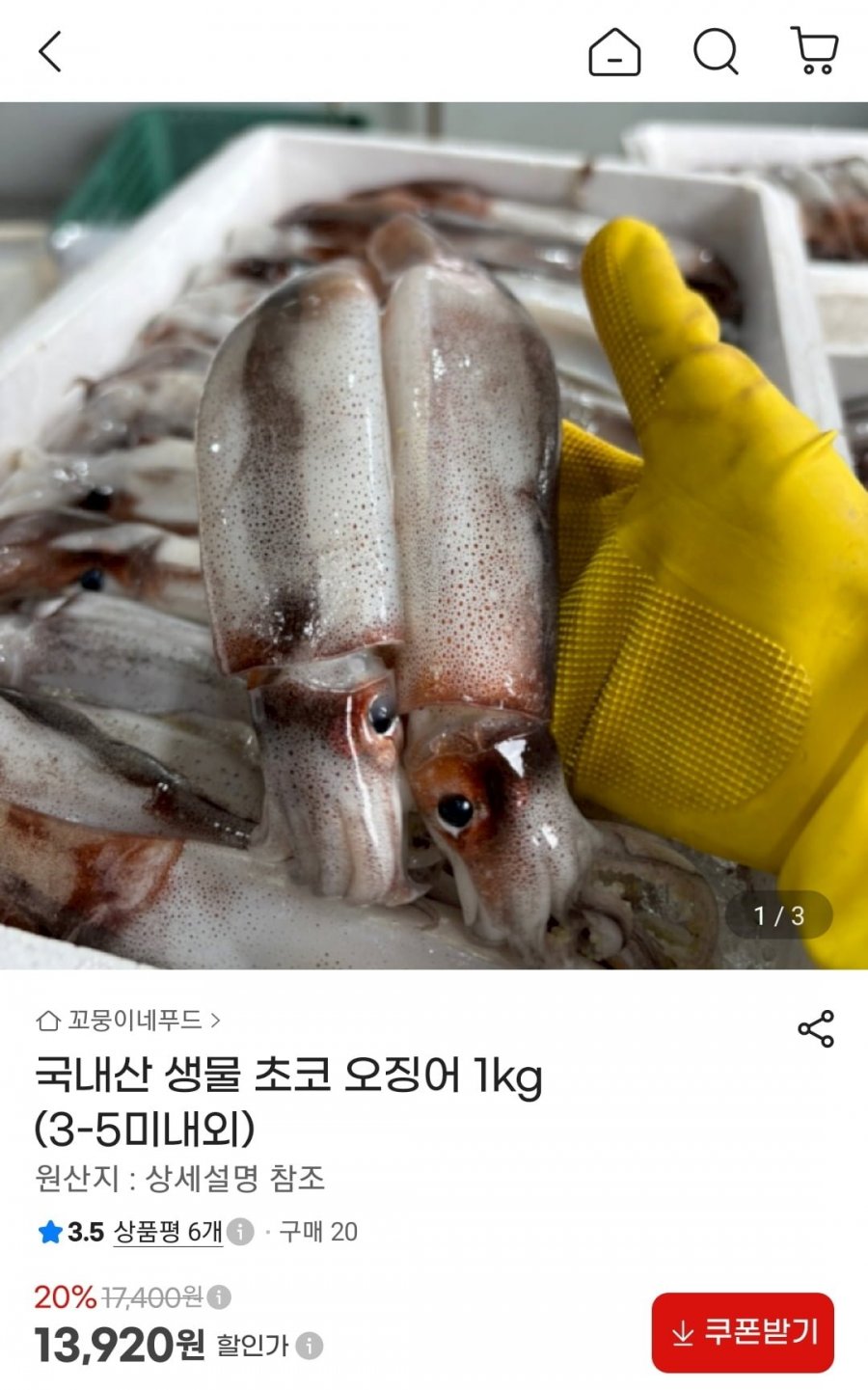 국내산 생물 초코 오징어 1kg (3-5미내외) (13,920원/무료)