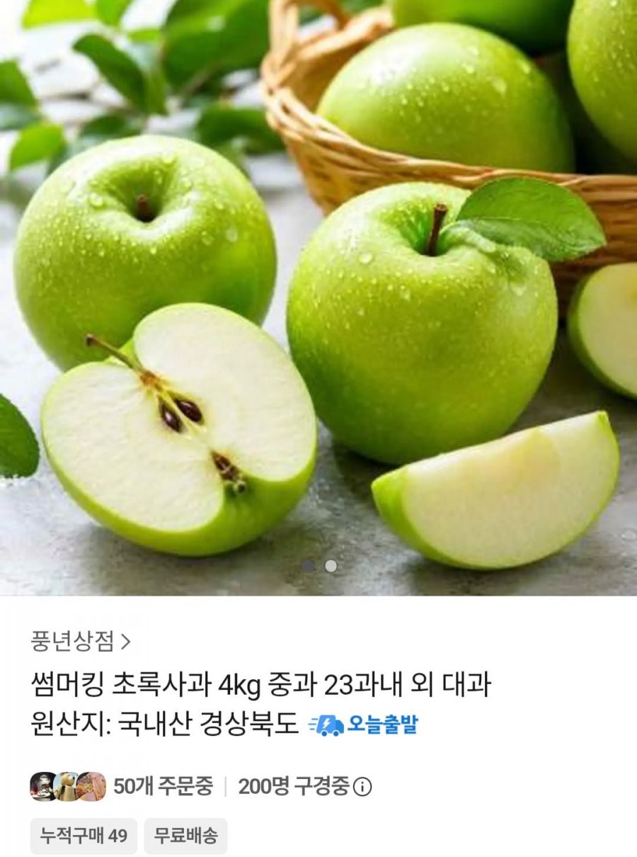 썸머킹 초록사과 4kg 중과 (9,790원 / 무료)