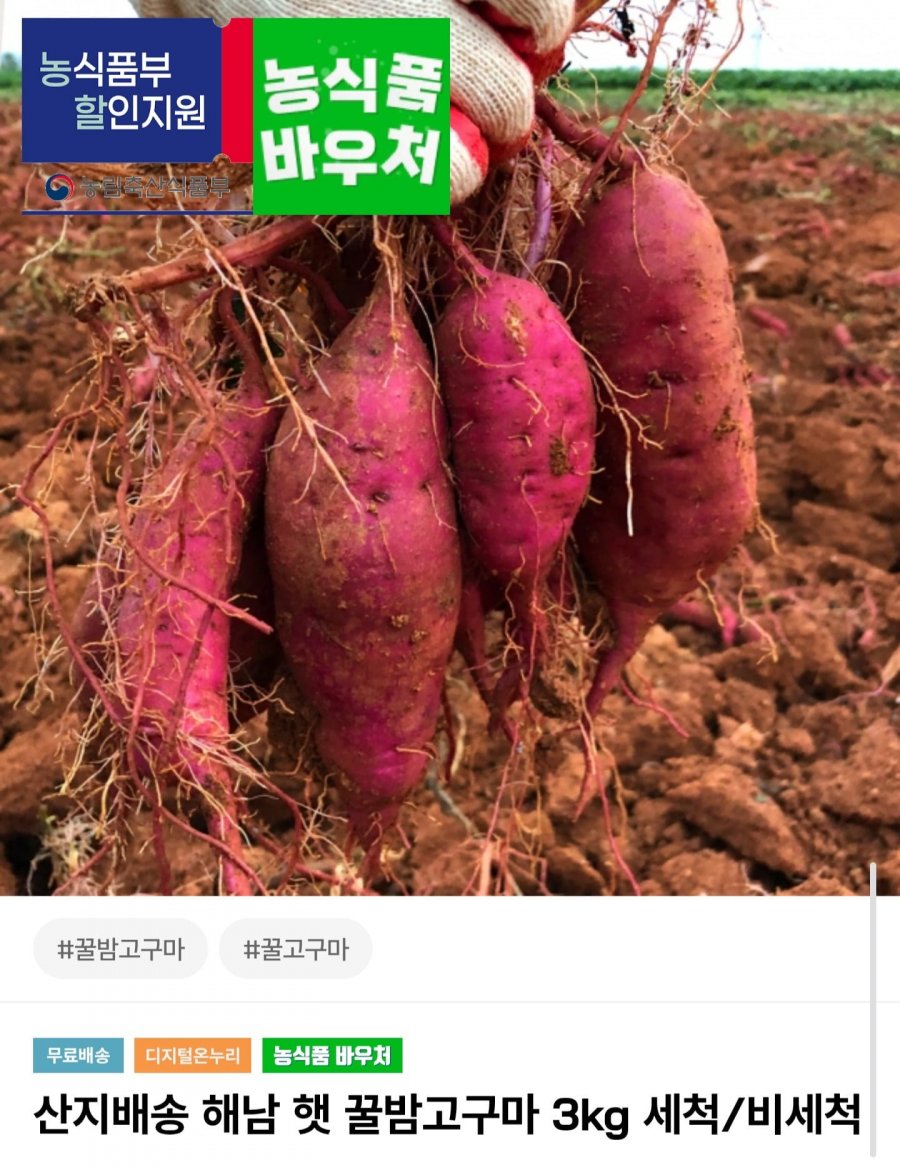 해남 꿀밤고구마 3kg 중 (8,750원/무료배송)