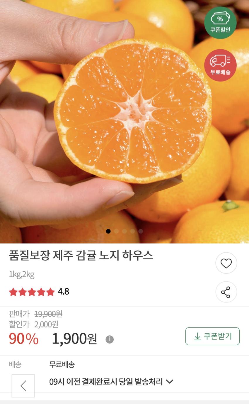 제주 노지감귤 1kg 1,900원