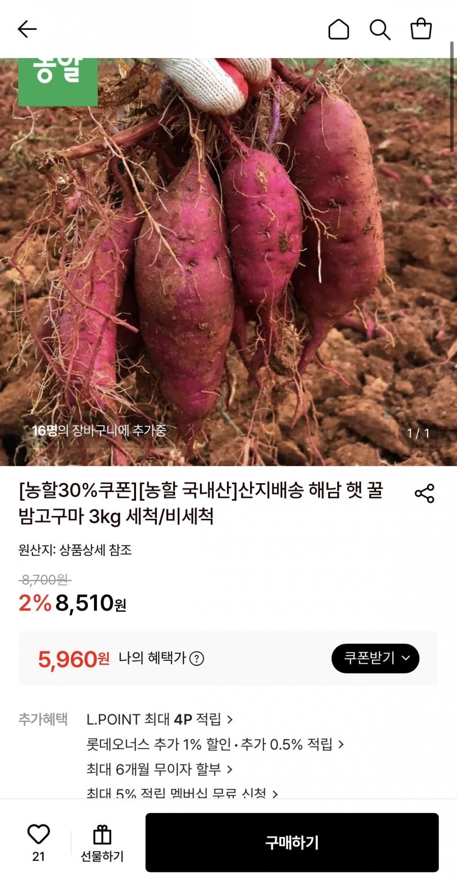 햇꿀밤고구마 3kg 비세척 한입 (5,960원/무료)