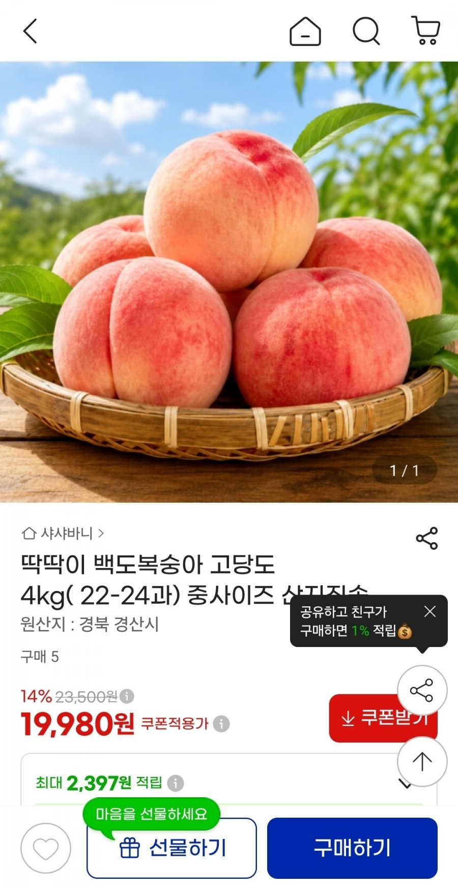 딱딱이 백도복숭아 4kg 중 (22-24과) (19,980원/무료)