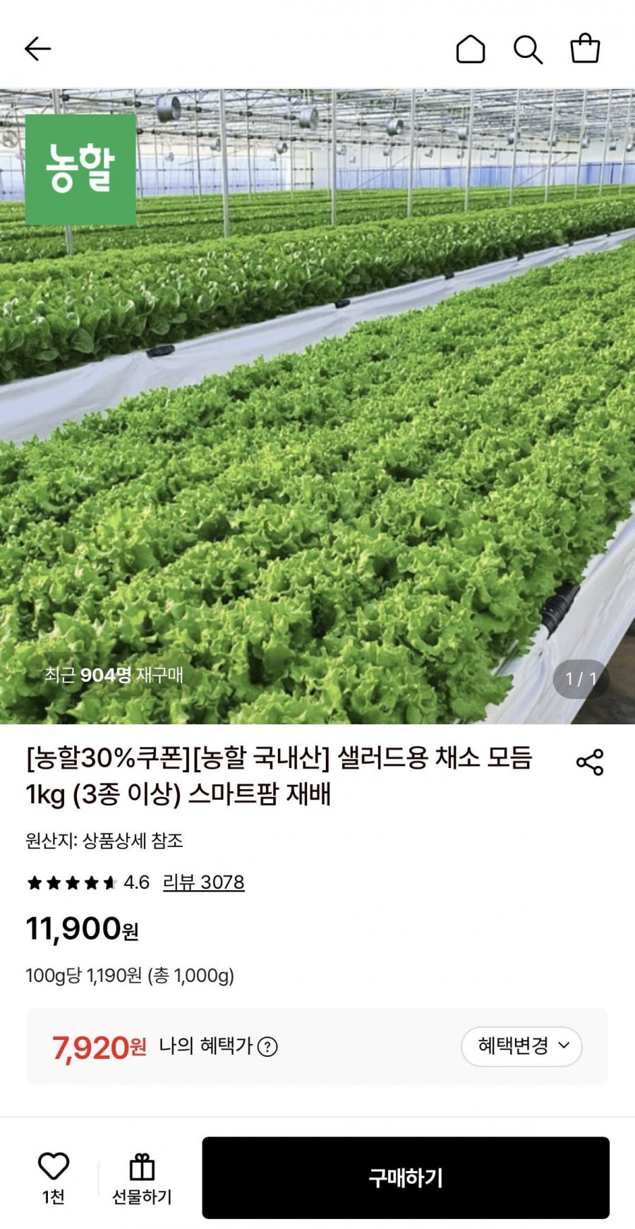 샐러드용 채소 모듬 1kg (7,920원/무료)