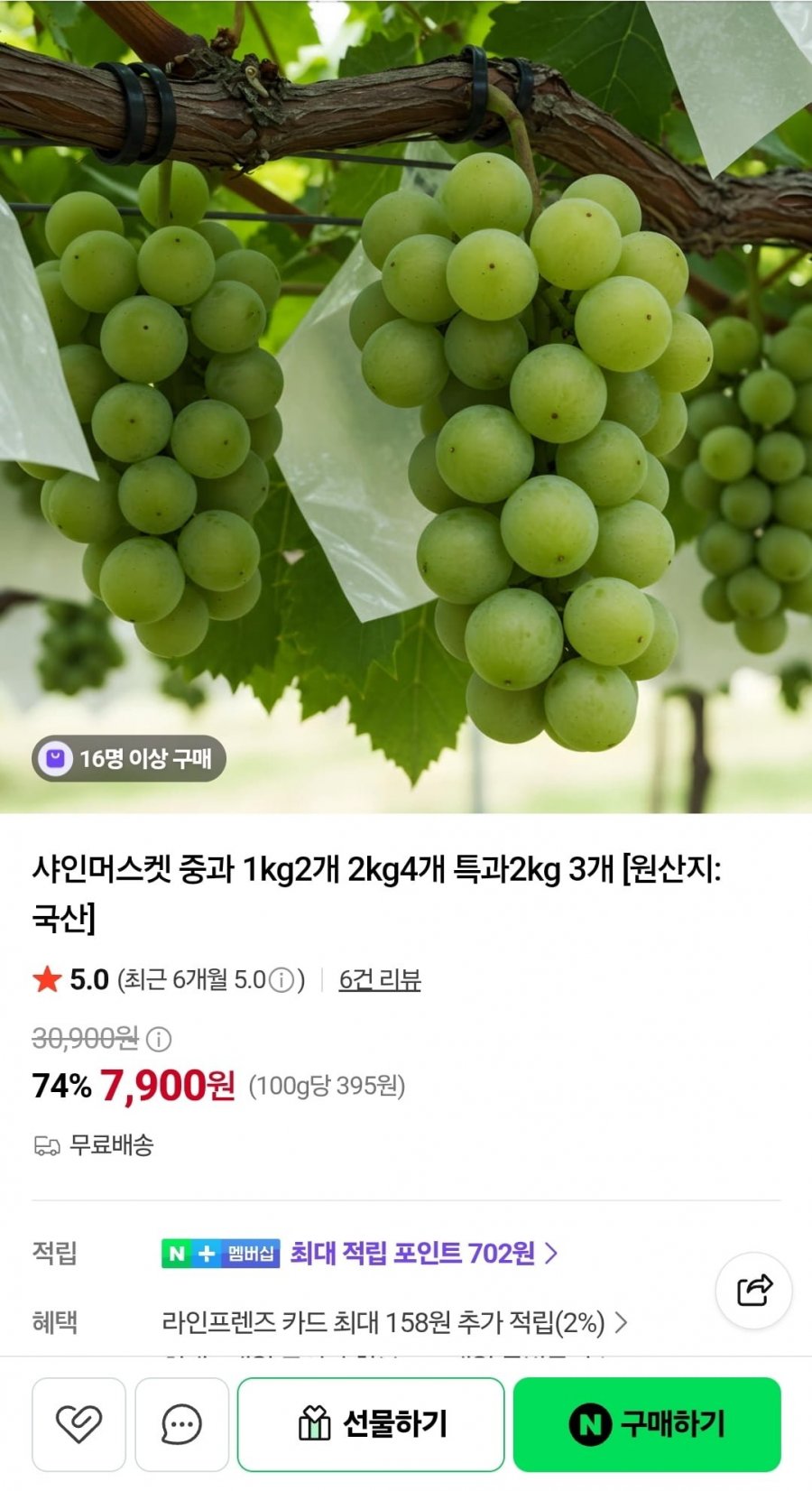 샤인머스켓 중과 1kg 2개 (7,900원/무료)