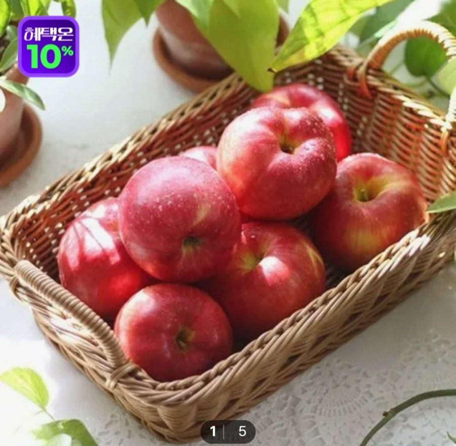 햇사과 5kg 중대과 (10-24과) (페이코 22,350원/무료)