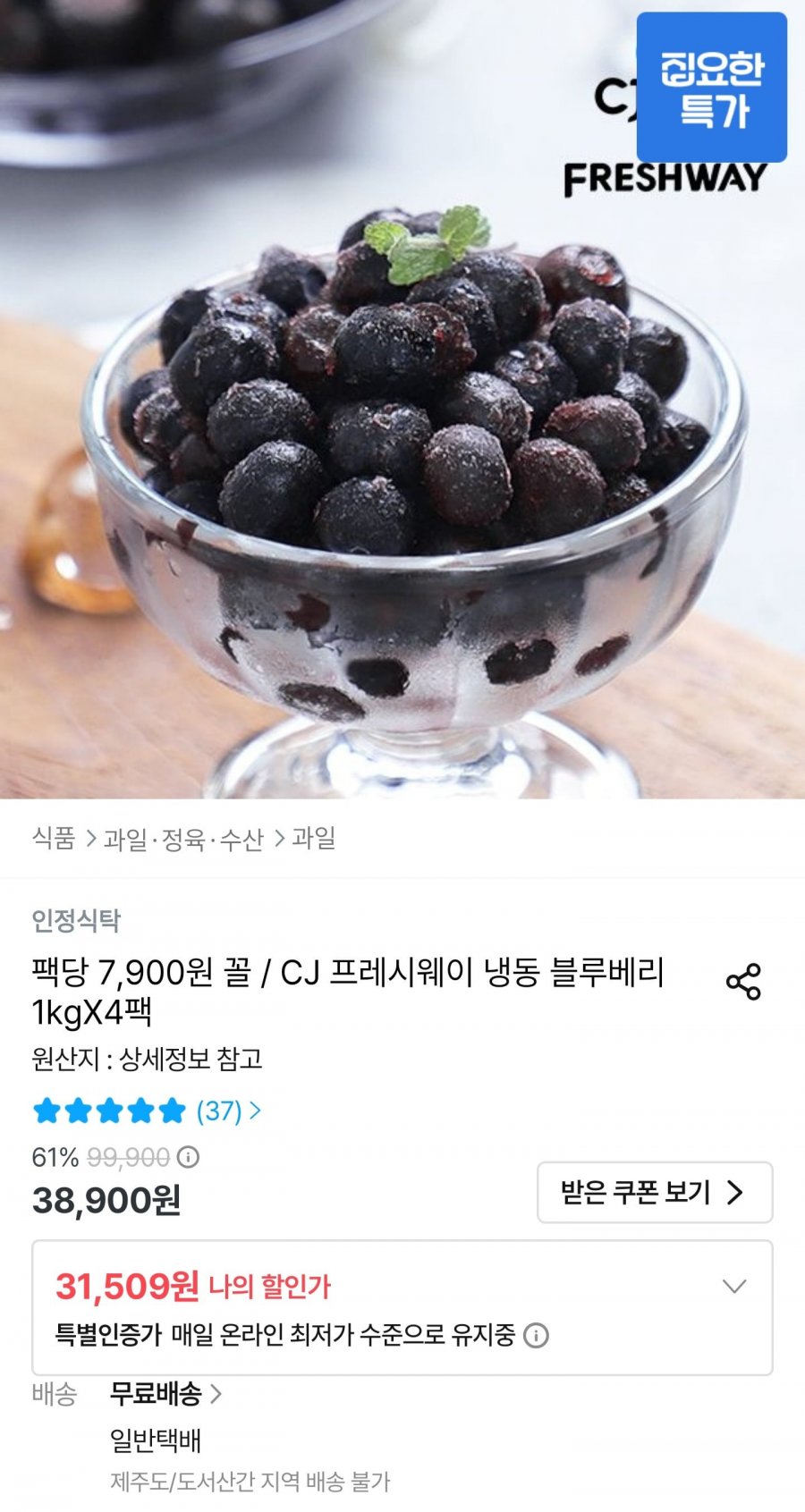 냉동 블루베리 1kg 4팩 (31,509원/무료배송)