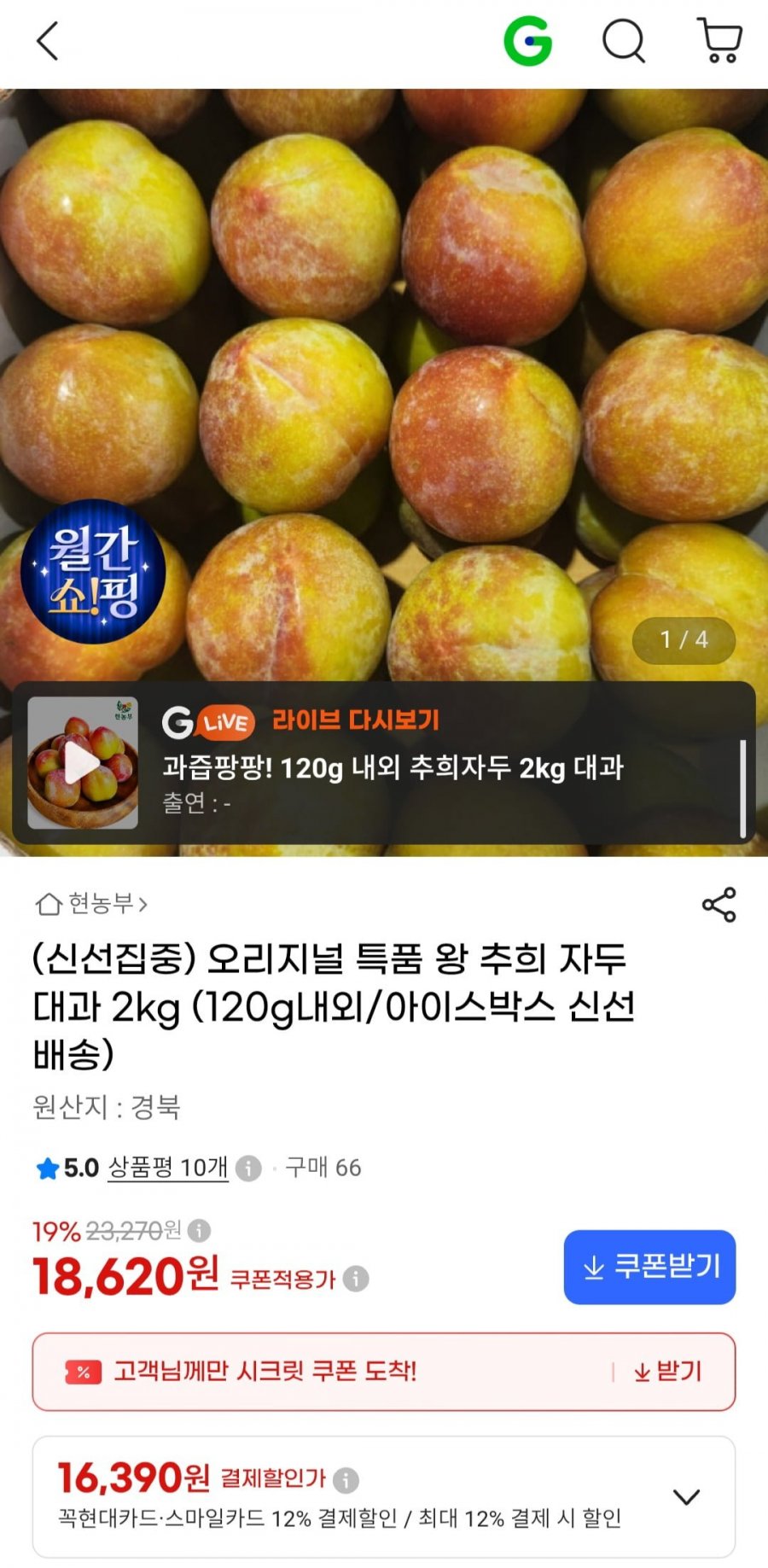 특품 왕 추희 자두 대과 2kg (18,620원/무료)
