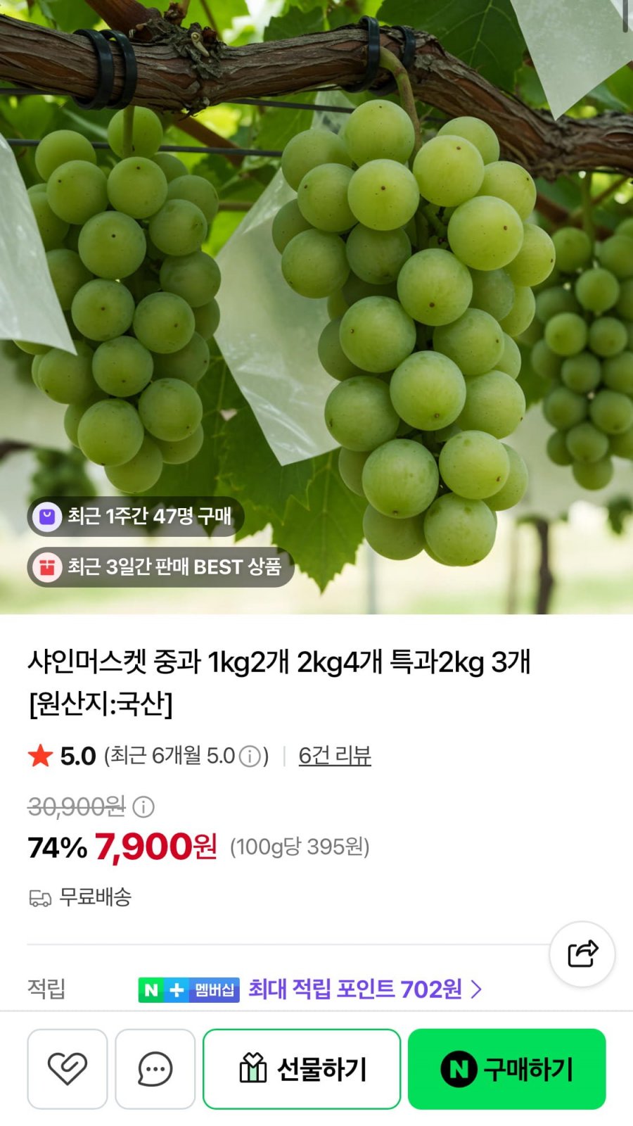 샤인머스켓 중과 1kg 2수 (7,900원/무료)