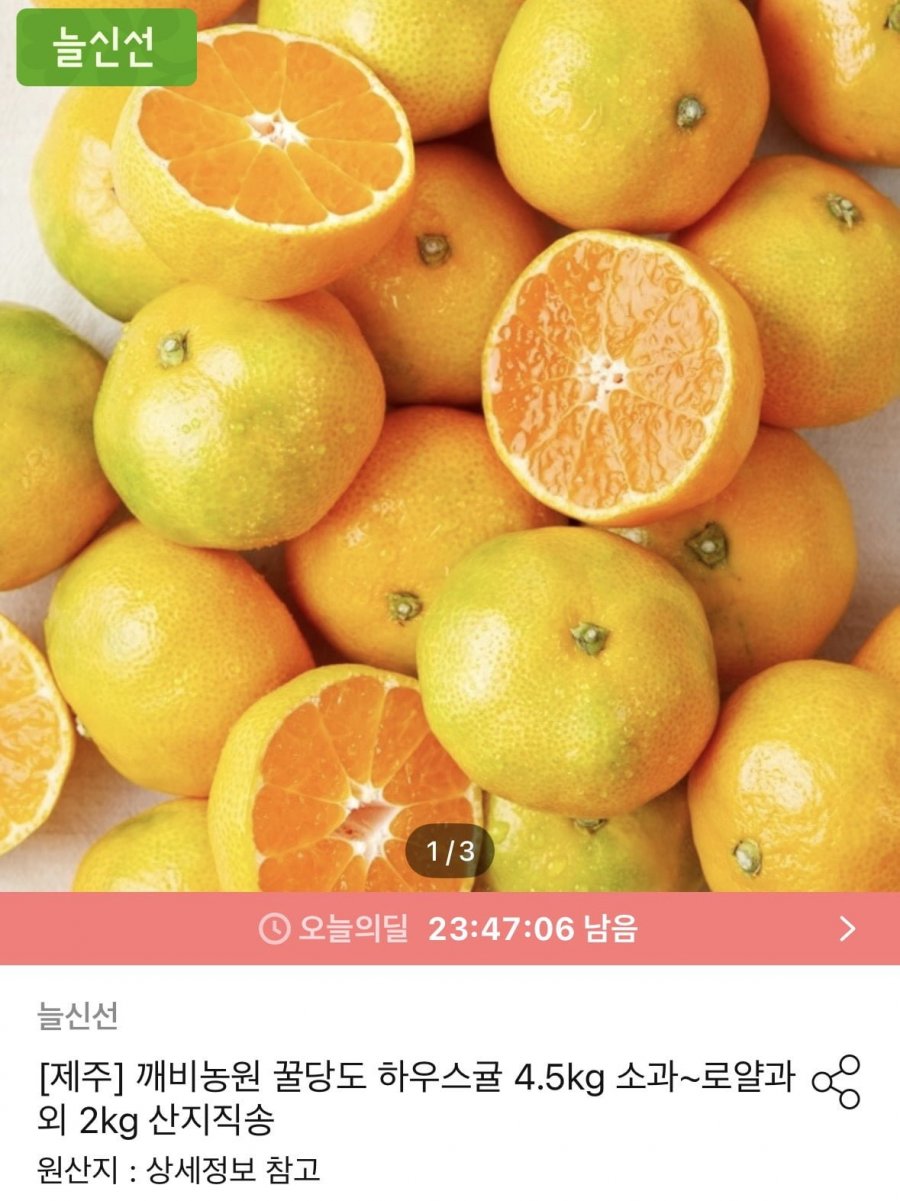 깨비농원 꿀당도 하우스귤 4.5kg 로얄과 (26,901원/무료)