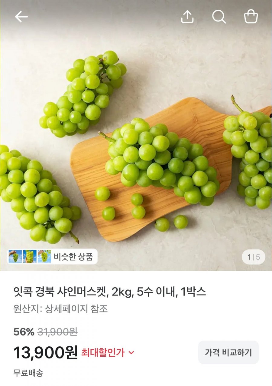 경북 샤인머스켓 2kg 5수 이내 (13,900원/무배)