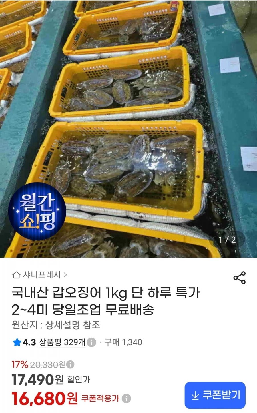 국내산 갑오징어 1kg 2~4미 (16,680원/무료)