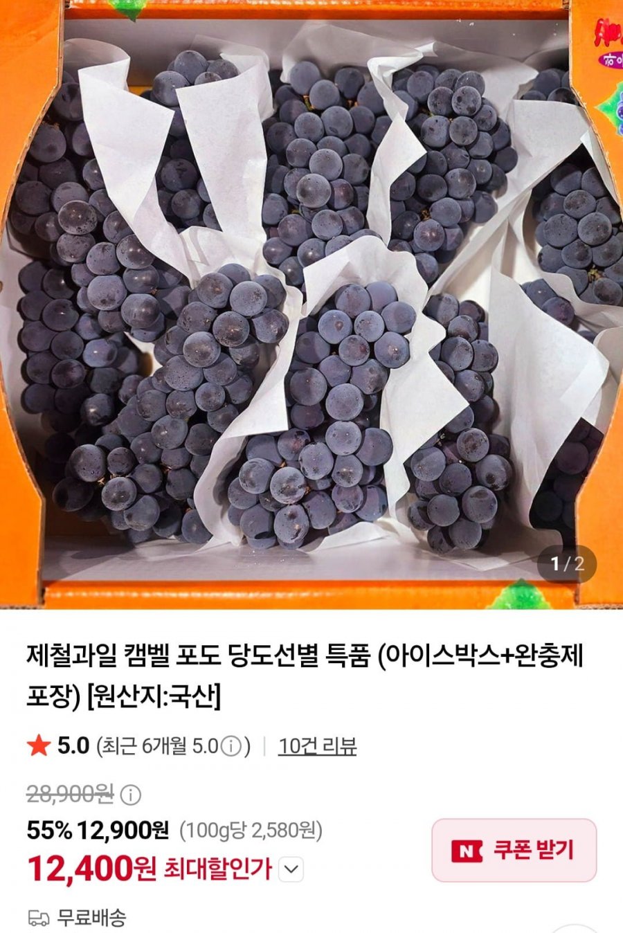 캠벨 포도 당도선별 특품 1kg 3~5수 (아이스박스+완충제 포장) (12,400원/무배)
