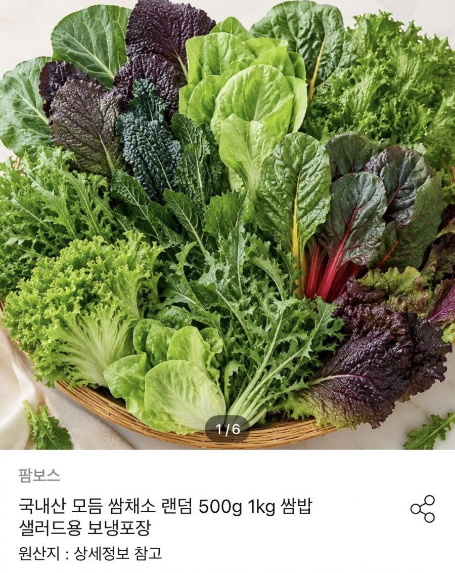 국내산 모듬 쌈채소 랜덤 1kg (11,970원/무료)
