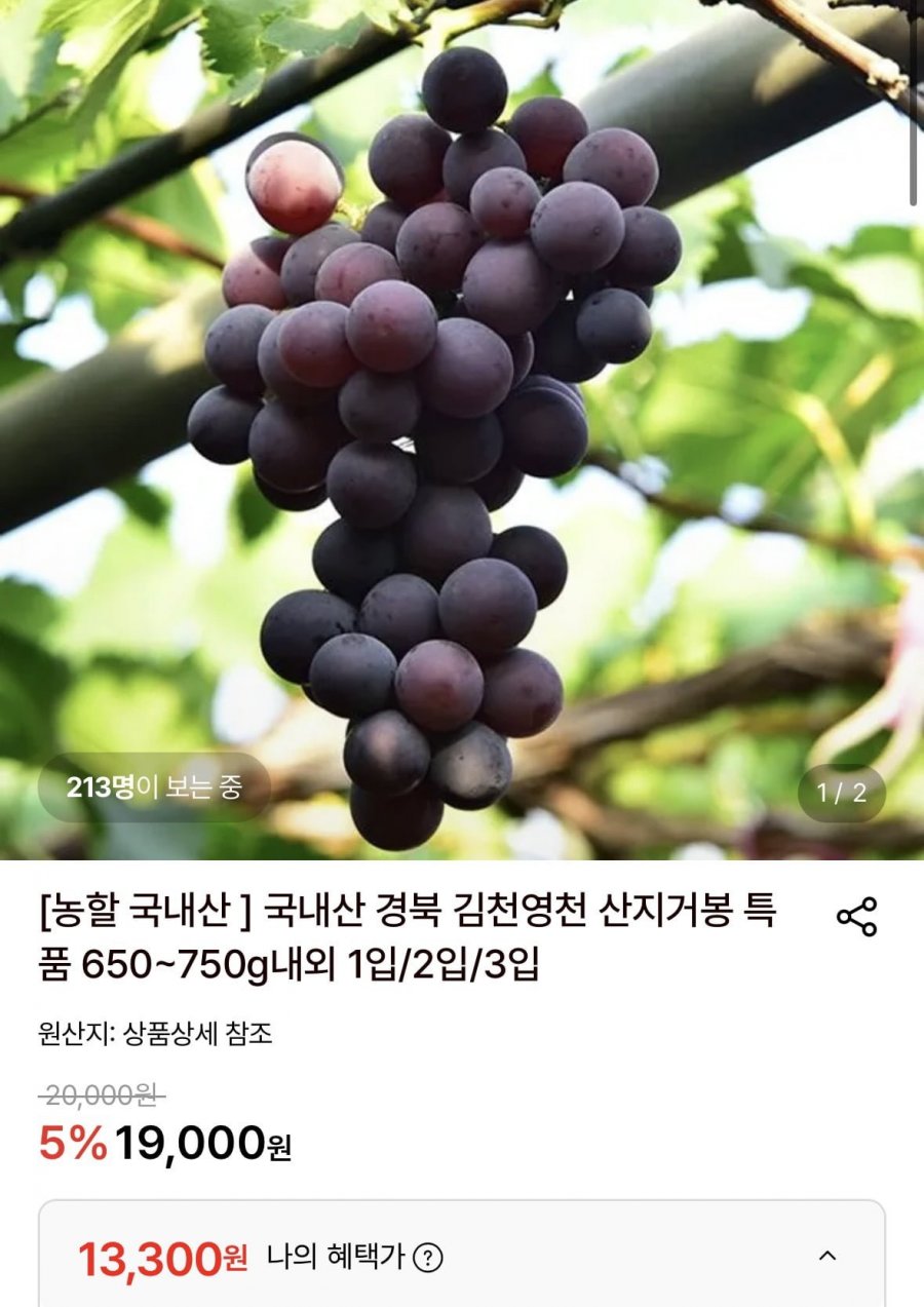 경북 특품 거봉 1수(650~750g) x 3입 (13,300원/무료)