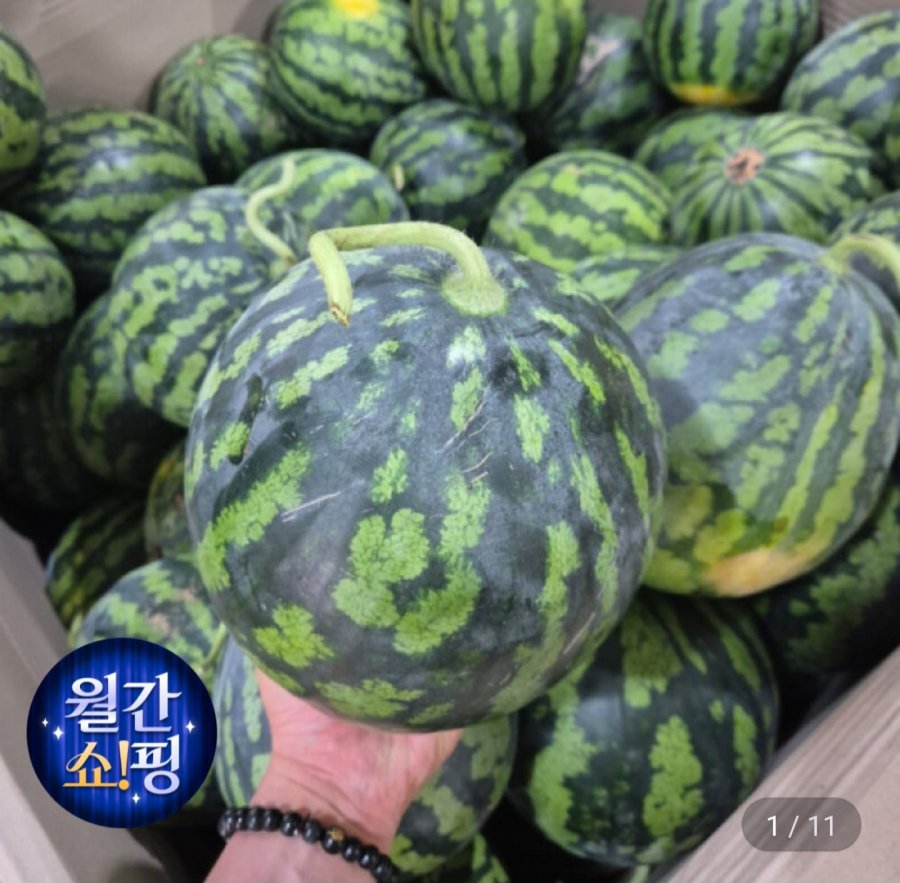제주 수박 노지수박 3~6kg 다양 (7,980원/무료)