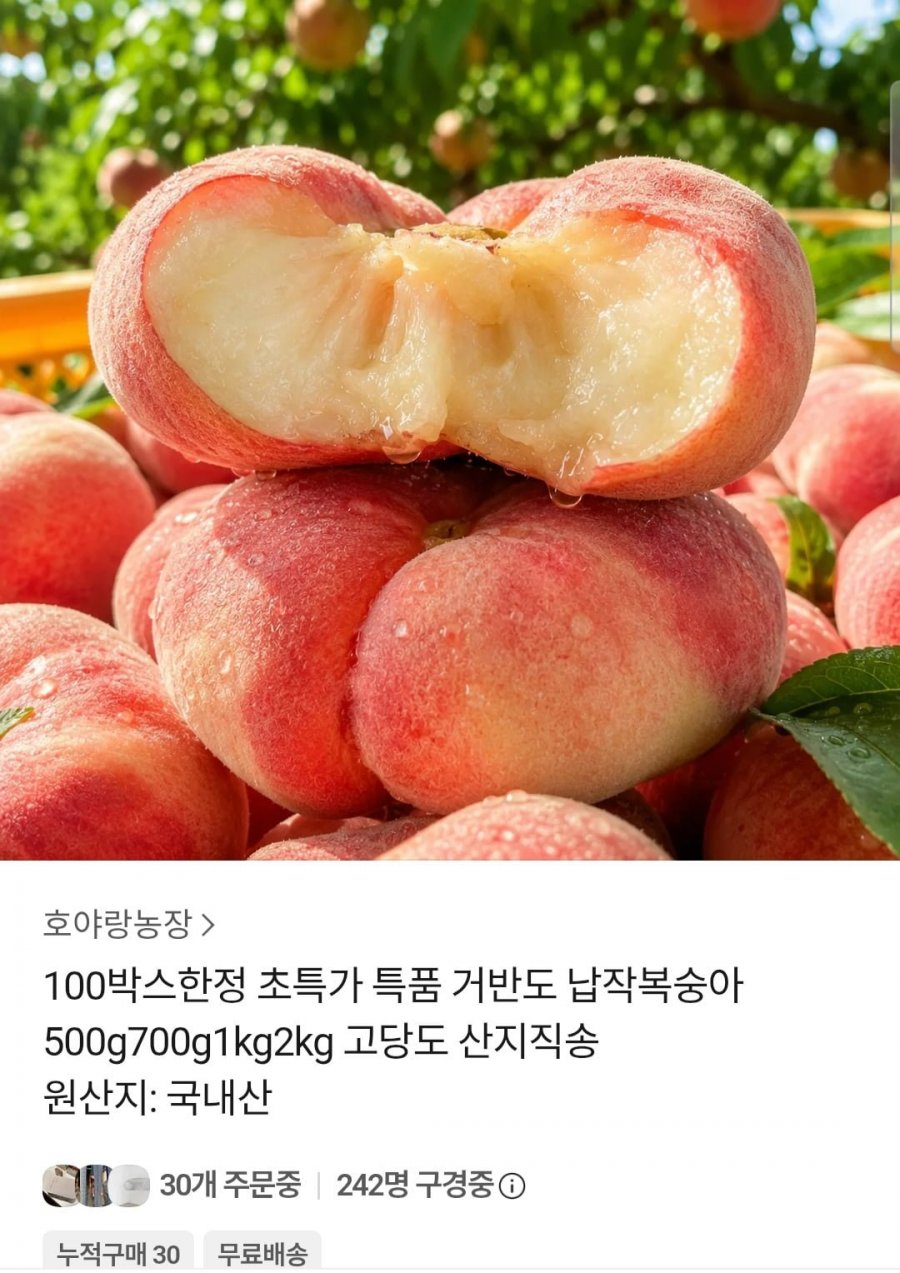 거반도 납작 복숭아 500g (11,190원 / 무배)