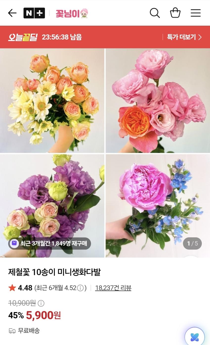 제철꽃 10송이 미니생화다발, 5,900원
