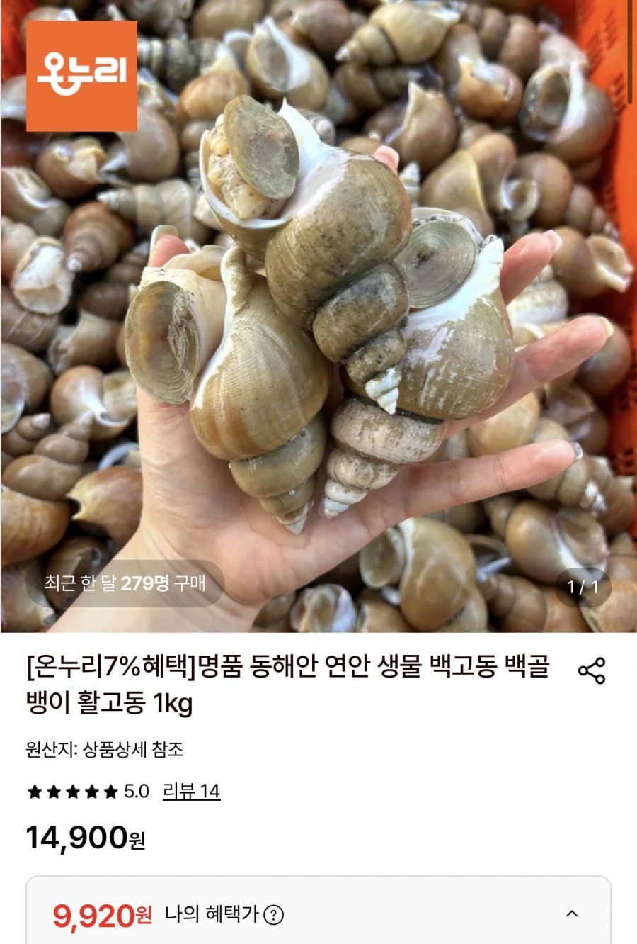 활 백고동 소소1kg(55~65미) 외 다양 (9,920원~/무료)