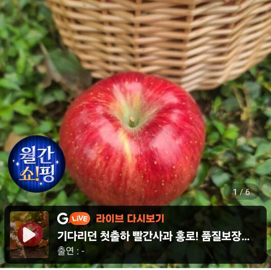 홍로 4kg 중대과 (16,100원/무료)