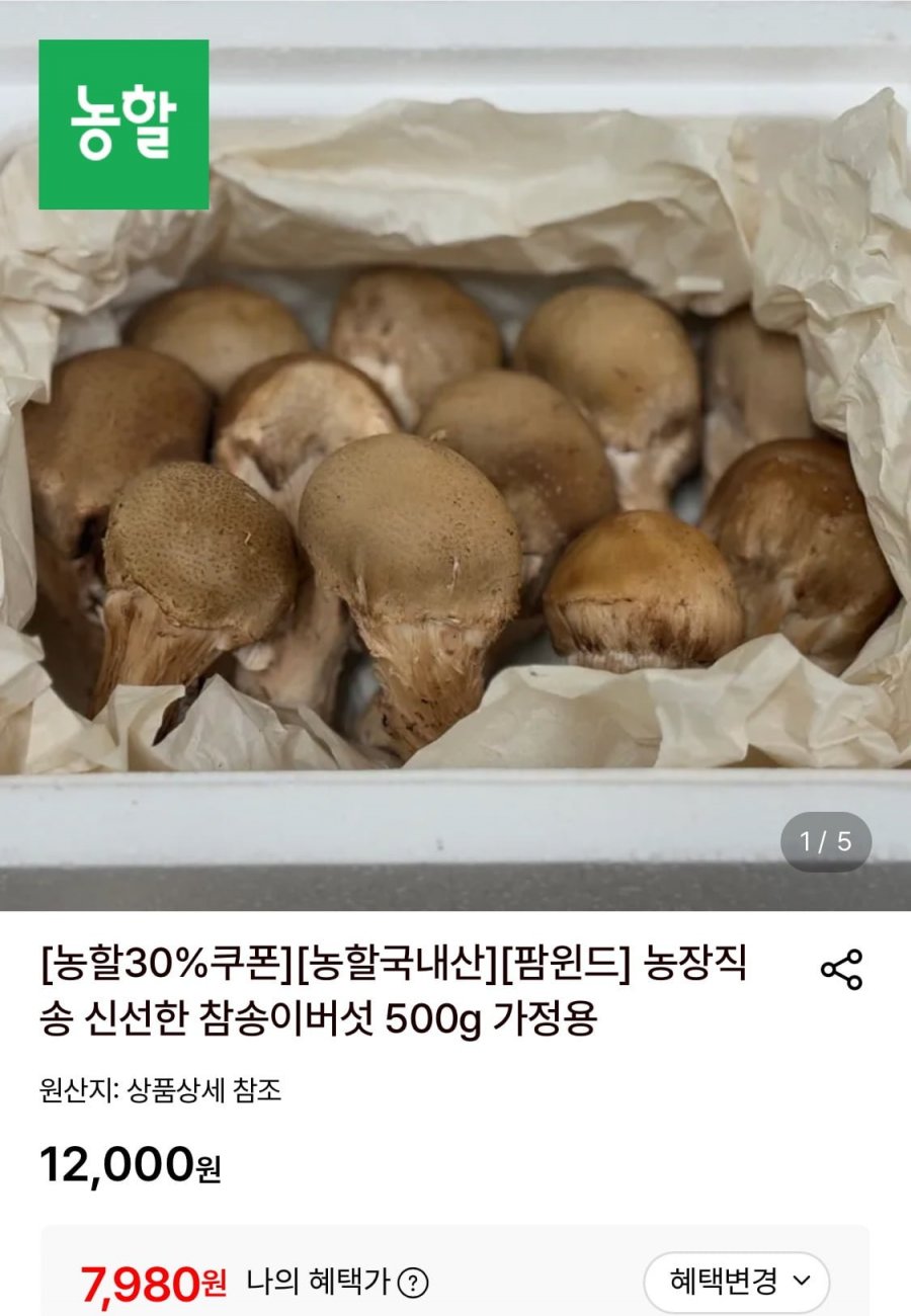 가정용 참송이버섯 500g (7,980원/무료)
