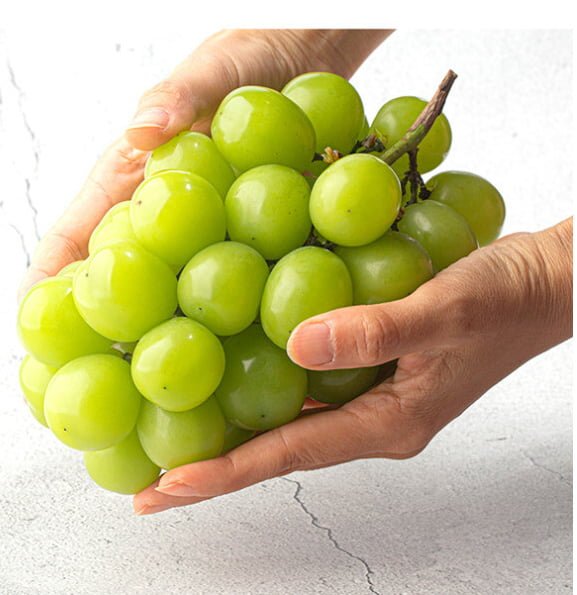 산지직송 고당도 샤인머스캣 2kg 3~4수( 11,940/무배)