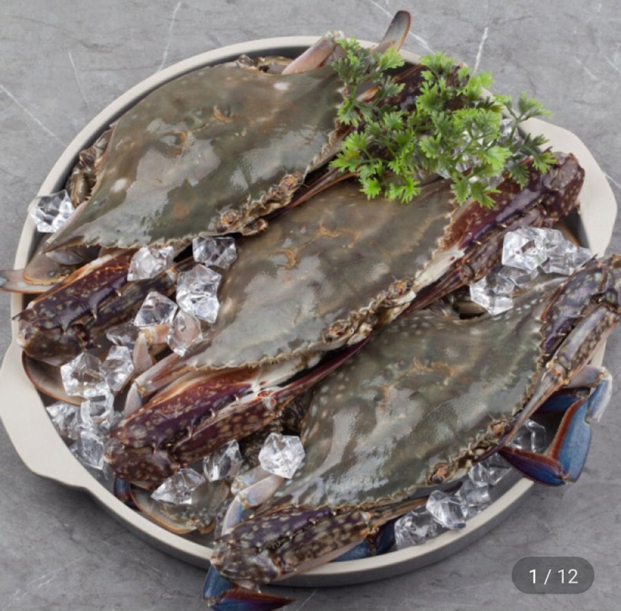 산지직송 태안생물 가을 활 숯꽃게 빙장포장 2kg(6-10미) (23,310원/무료)