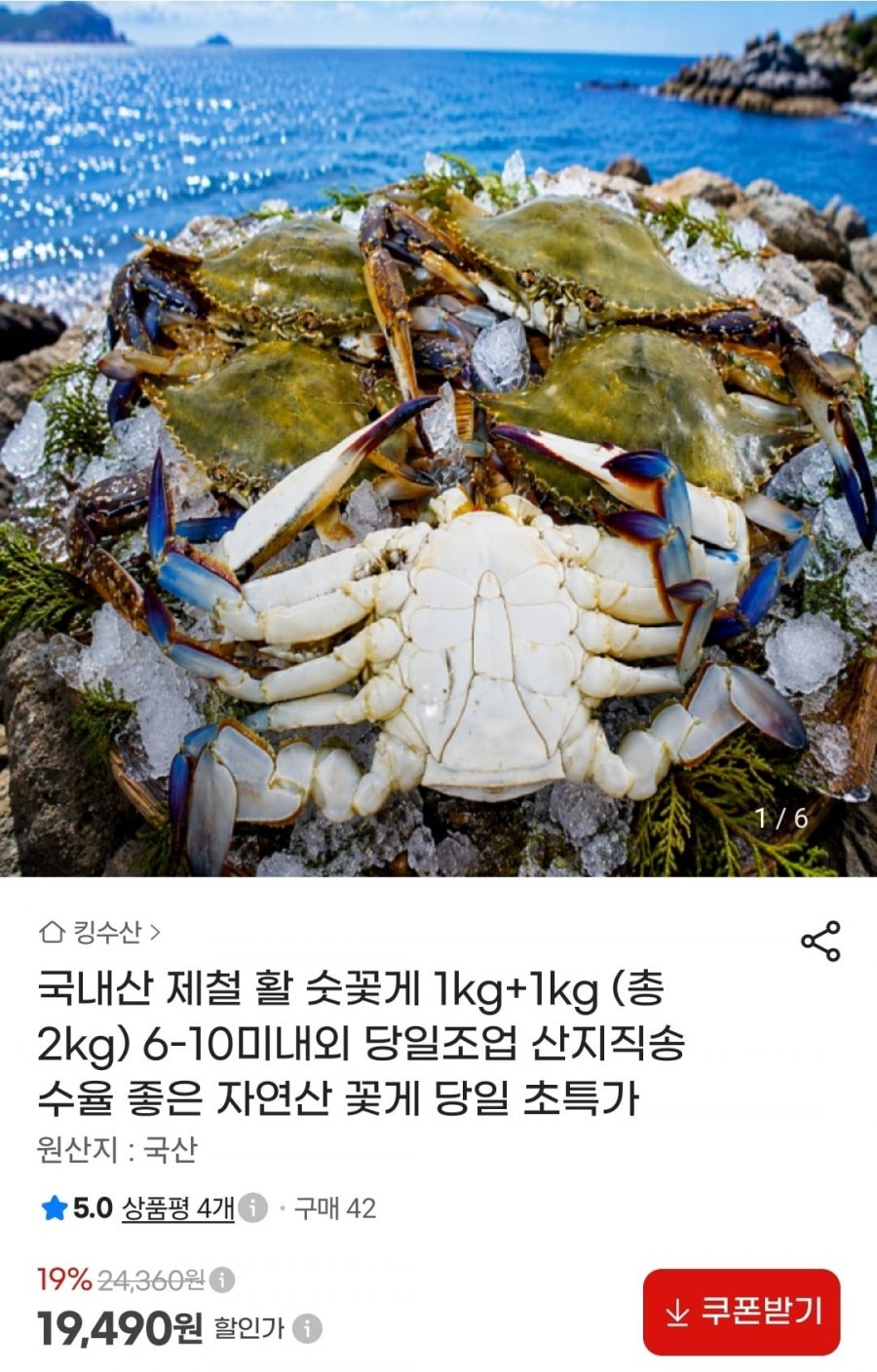 활 숫꽃게 1kg+1kg (총 2kg) 6-10미내외 (19,490원/무배)