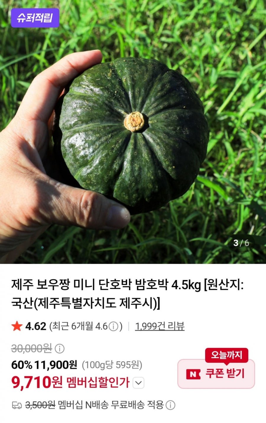보우짱 미니 단호박 4.5kg (네멤9,710원 / 네멤무료)